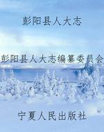 彭阳县人大志
