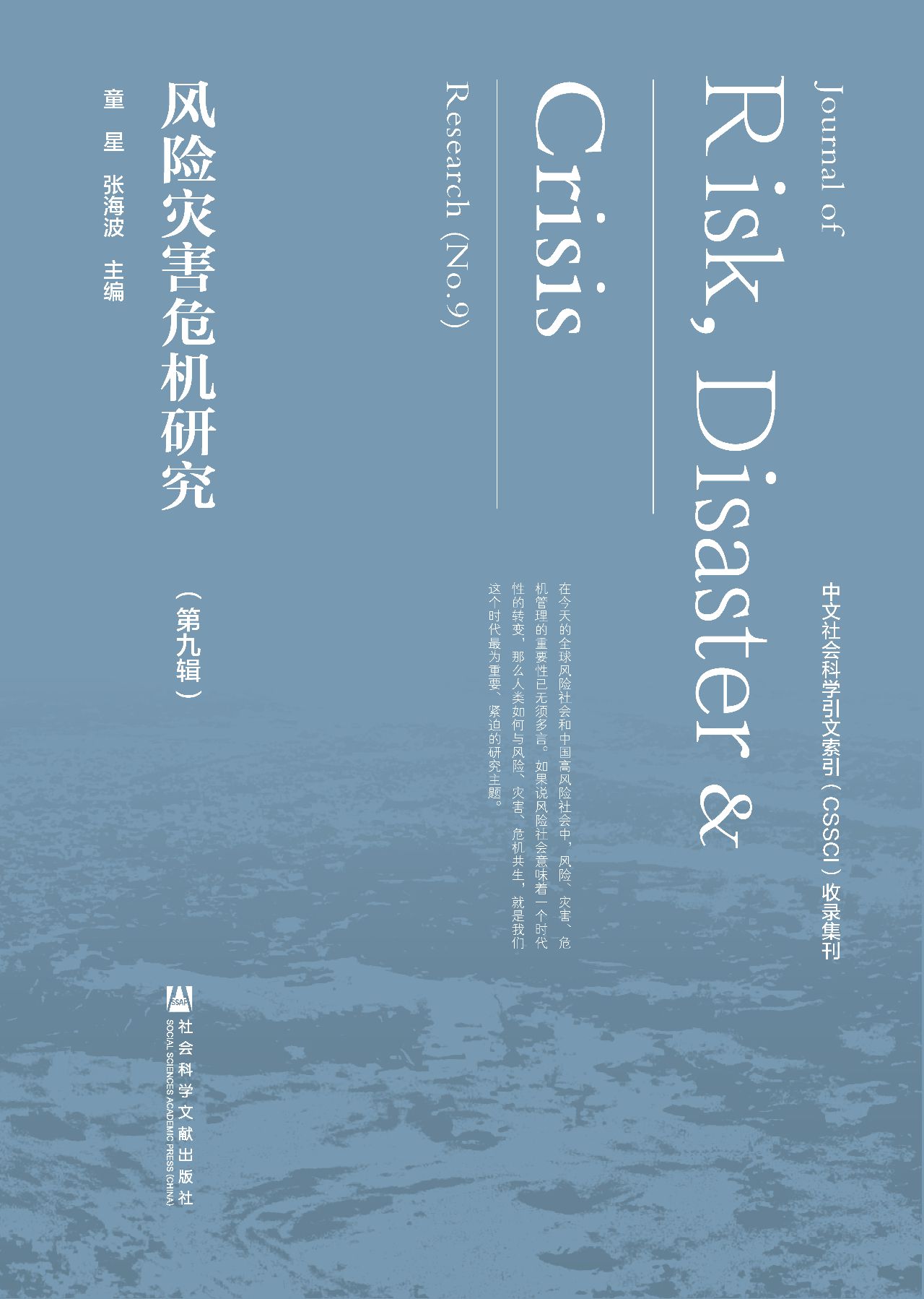 风险灾害危机研究（第9