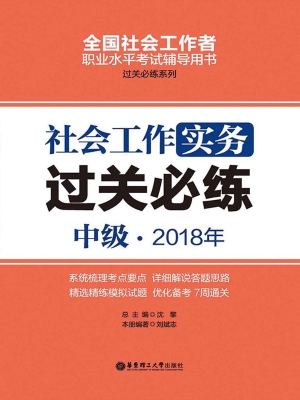 社会工作实务（中级）2018