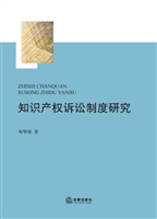 知识产权诉讼制度研究