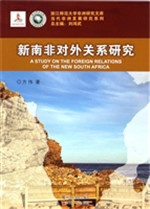 新南非对外关系研究