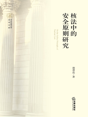核法中的安全原则研究