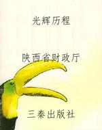 光辉历程
