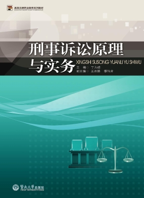 刑事诉讼原理与实务