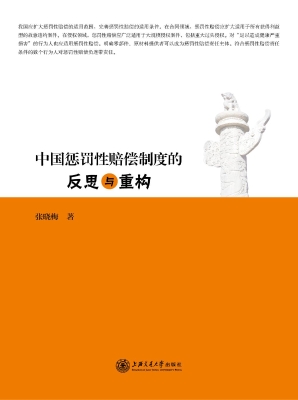 中国惩罚性赔偿制度的