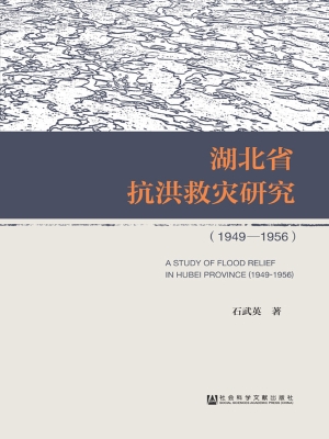 湖北省抗洪救灾研究（19