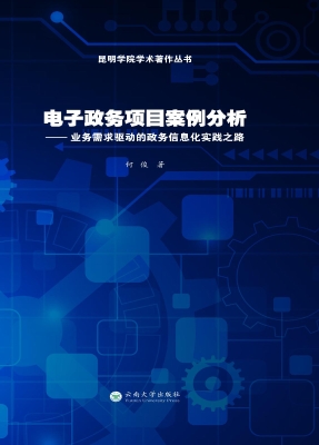 电子政务项目案例分析
