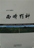 社科专家解读西畴精神