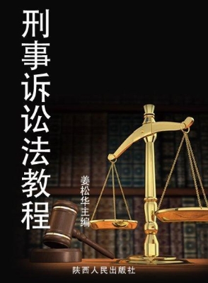 刑事诉讼法教程