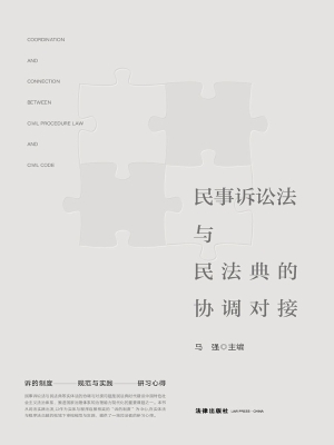 民事诉讼法与民法典的