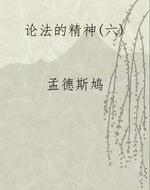 论法的精神(六)