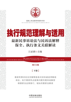 执行规范理解与适用—