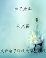 电子政务