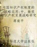 中国知识产权制度的战