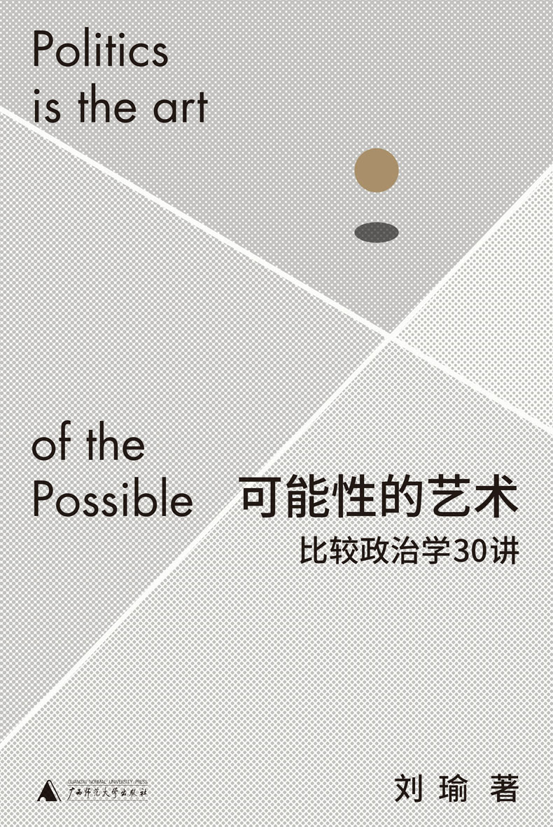 可能性的艺术：比较政治