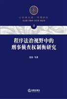程序法治视野中的刑事