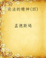 论法的精神(四)