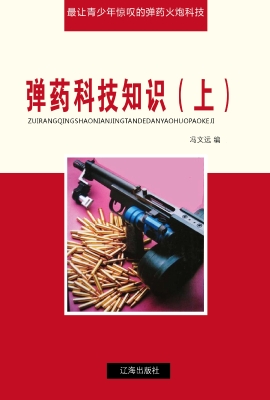 最让青少年惊叹的弹药