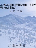 斗智斗勇的中国战争（新
