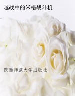 越战中的米格战斗机