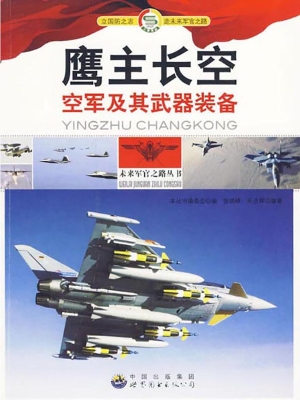 鹰主长空——空军及其