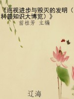 《巡视进步与毁灭的发