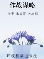 作战谋略