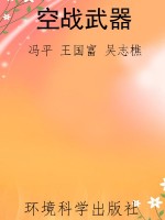空战武器