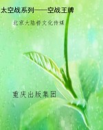 太空战系列——空战王