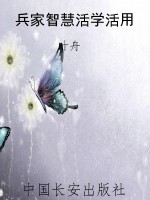 兵家智慧活学活用