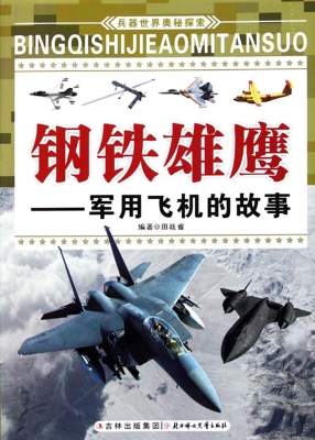 钢铁雄鹰——军用飞机
