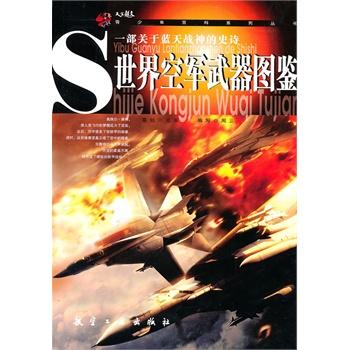 青少年百科：世界空军武
