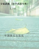 文韬武略（孙子兵法今用