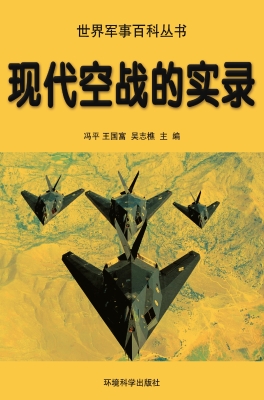 现代空战的实录