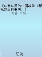 《斗智斗勇的中国战争