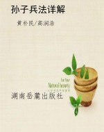 孙子兵法详解