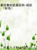 最好看的武器百科-战