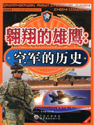 翱翔的雄鹰：空军的历史