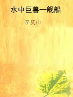 水中巨兽--舰船