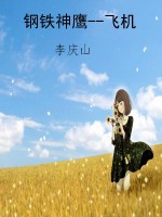 钢铁神鹰--飞机