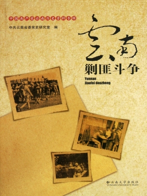 云南剿匪斗争