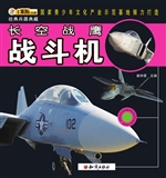长空战鹰——战斗机