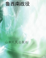 鲁西南战役