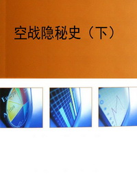 空战隐秘史（下）