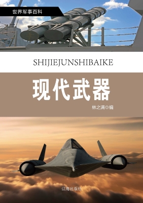 现代武器