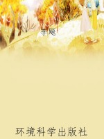 二战史·全面进攻
