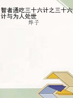 智者通吃三十六计之三