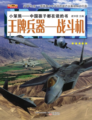 王牌兵器——战斗机