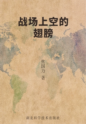 战场上空的翅膀