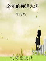 必知的导弹火炮